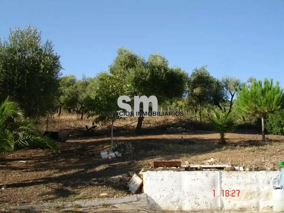 Terreni e lotti in vendita a Ubrique, imagen 17