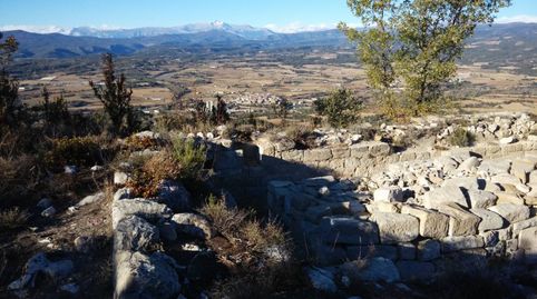 Finca rustica en venta en Capella, immagine 5