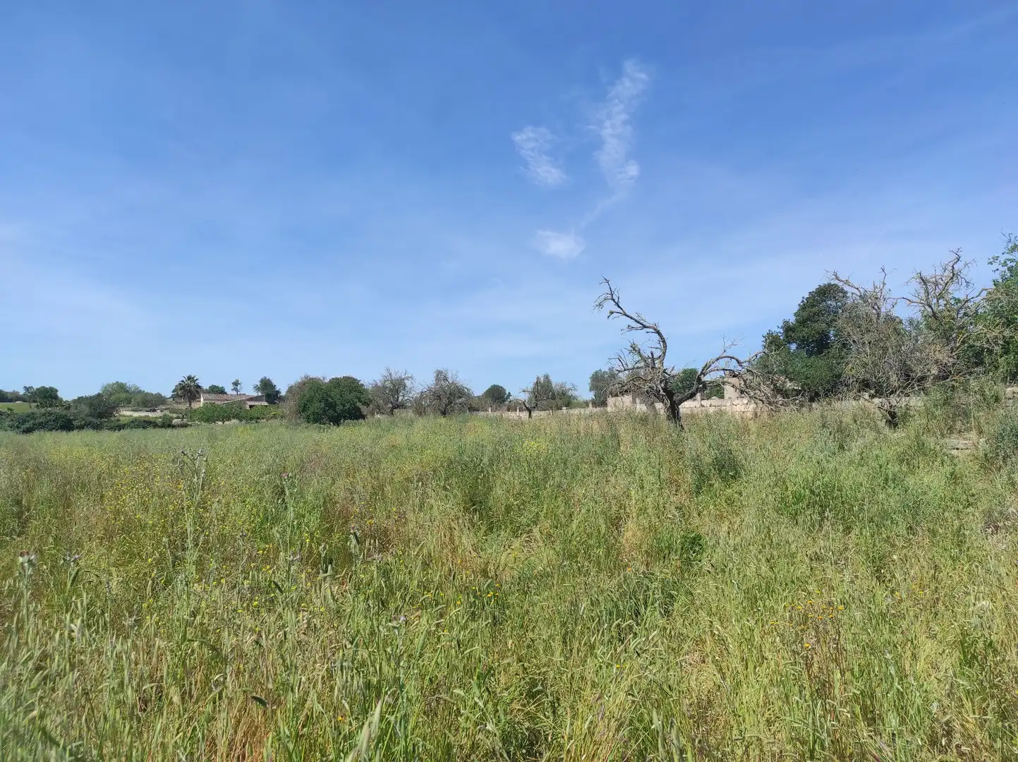 Finca rústica en venta en Sineu