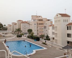 Swimming pool of Flat to rent in Elche / Elx  with Balcony