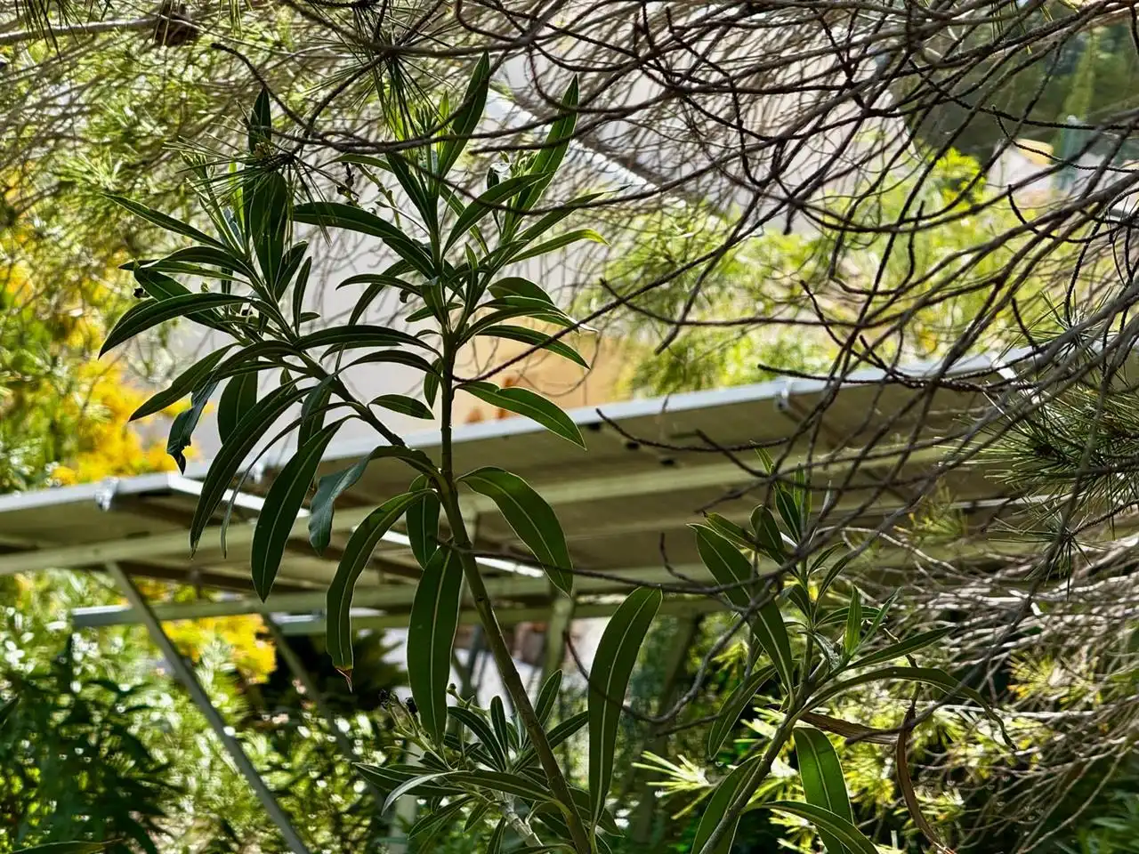 Chalet con piscina en venta en Callosa d'en Sarrià, imagen 39