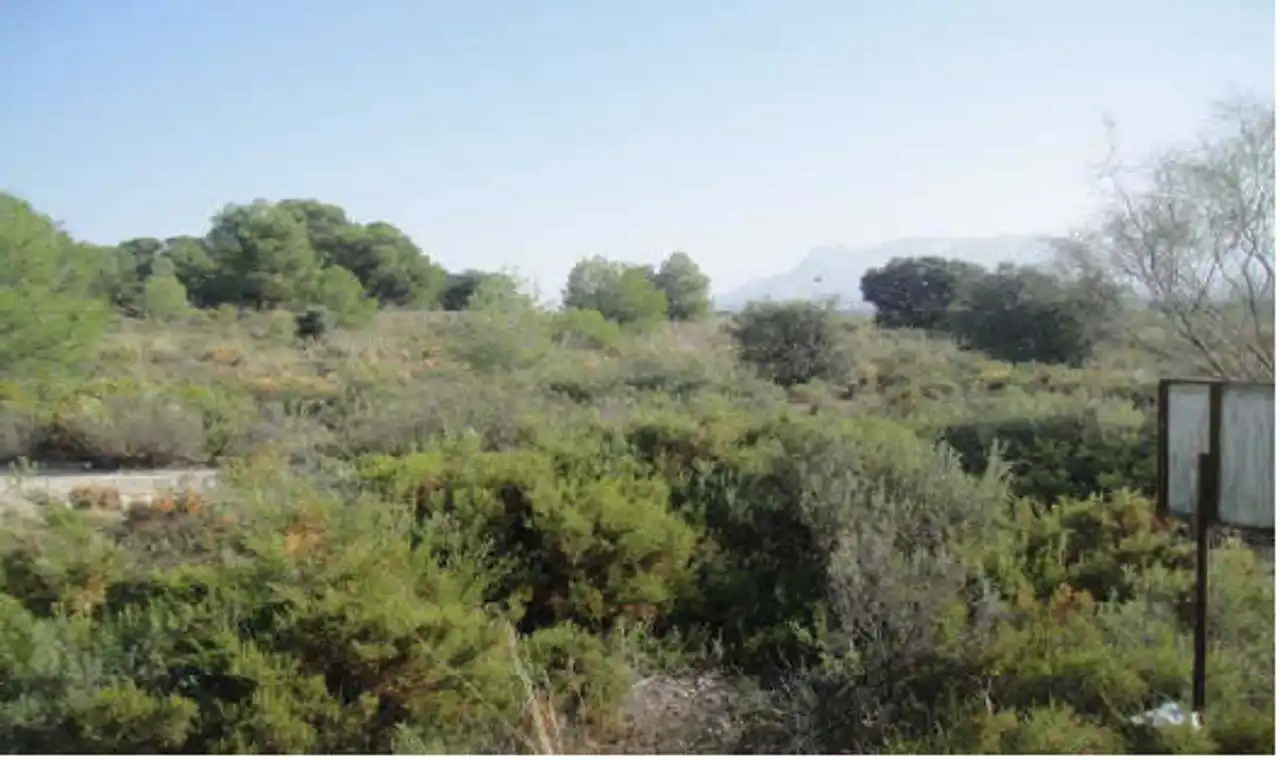 Terreno rustico in vendita a Calicasas, imagen 10