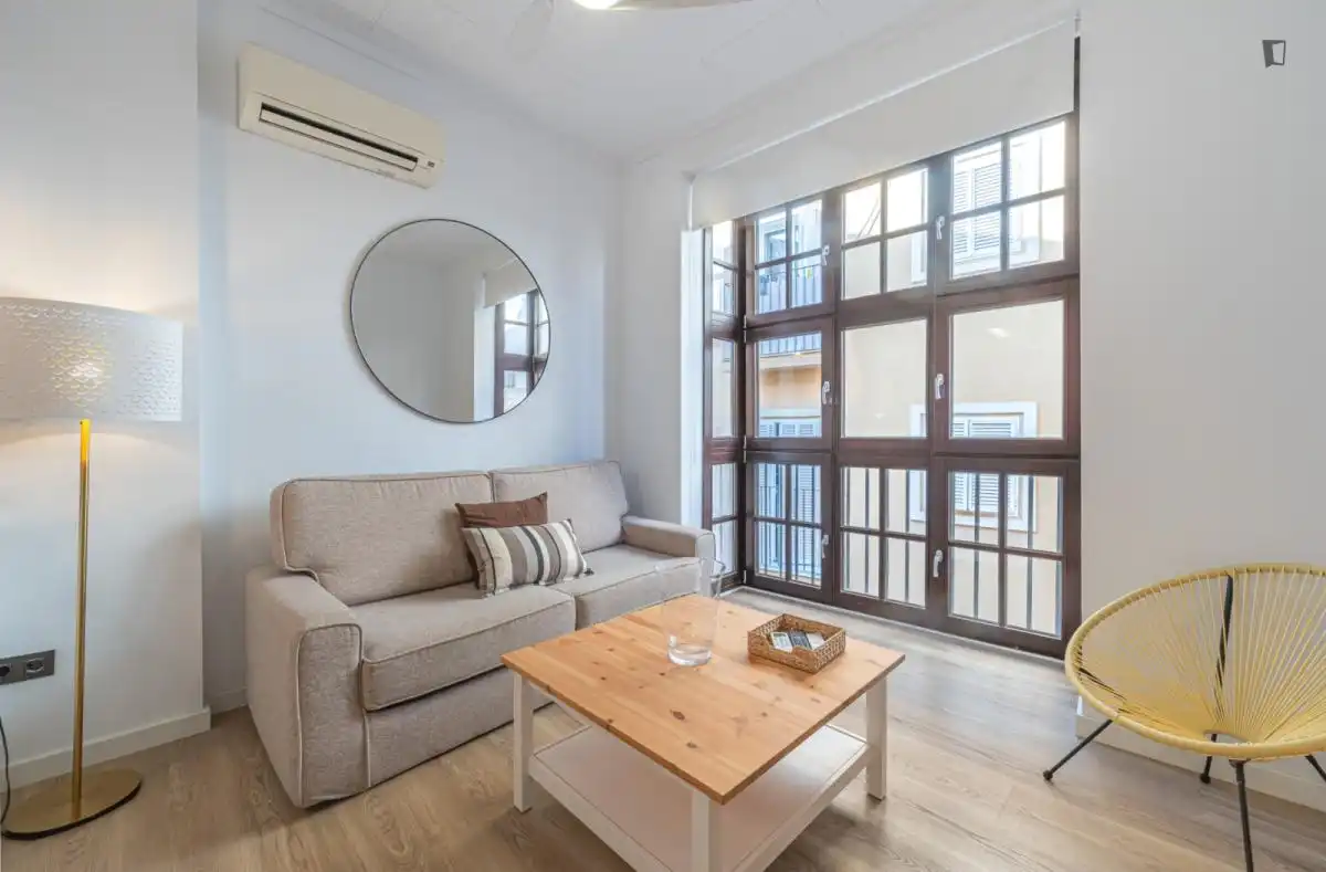 Sala d'estar de Apartament de lloguer en Málaga amb Aire condicionat, Moblat i Forn
