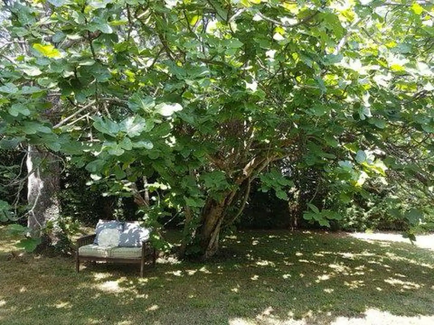 Garten von Haus oder Chalet zur Miete in Gijón  mit Heizung, Privatgarten und Terrasse