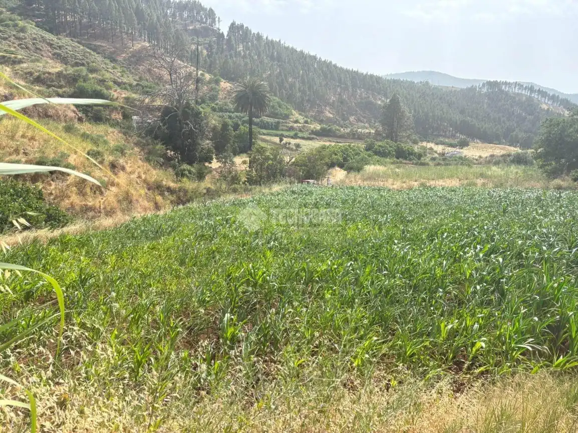 Terreno en venta en Gáldar
