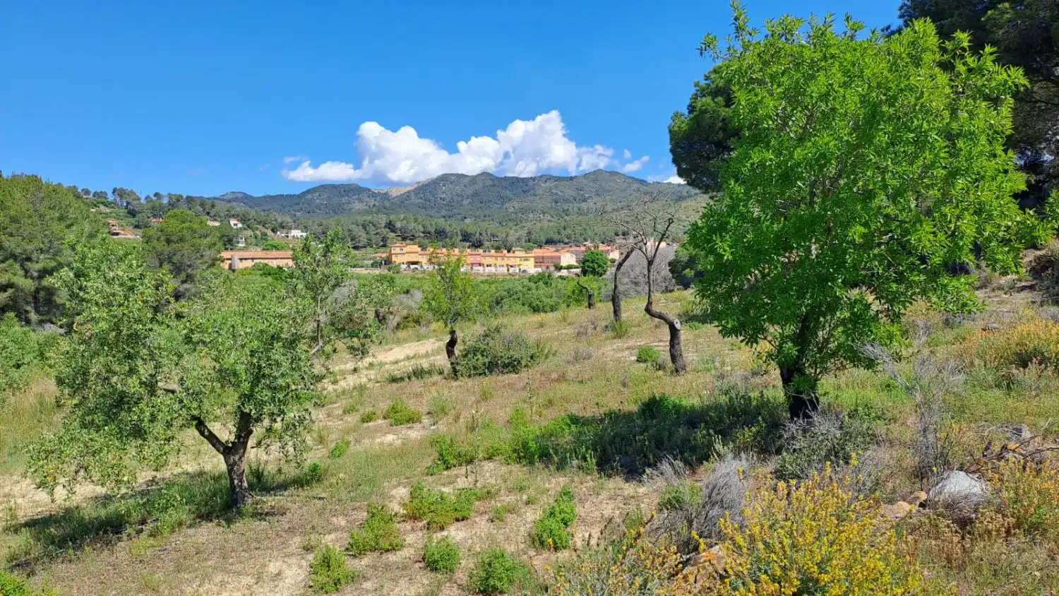 Finca rústica en venda en Riudecanyes
