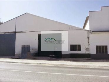 Nau industrial en venda a Avenida de la Constitución 17