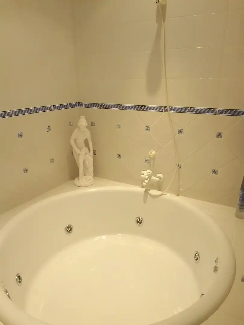 Baño de Casa o chalet en venta en Prado del Rey con Jardín privado, Terraza y Amueblado
