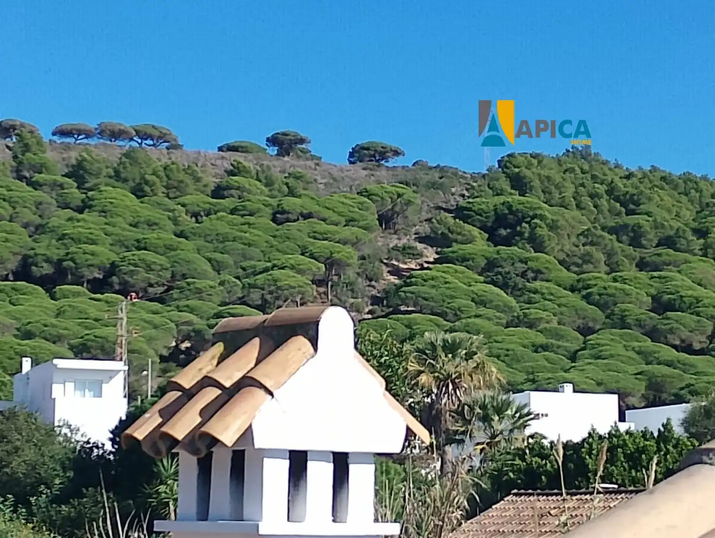 Vista exterior de Casa o chalet en venta en Barbate con Terraza, Trastero y Amueblado