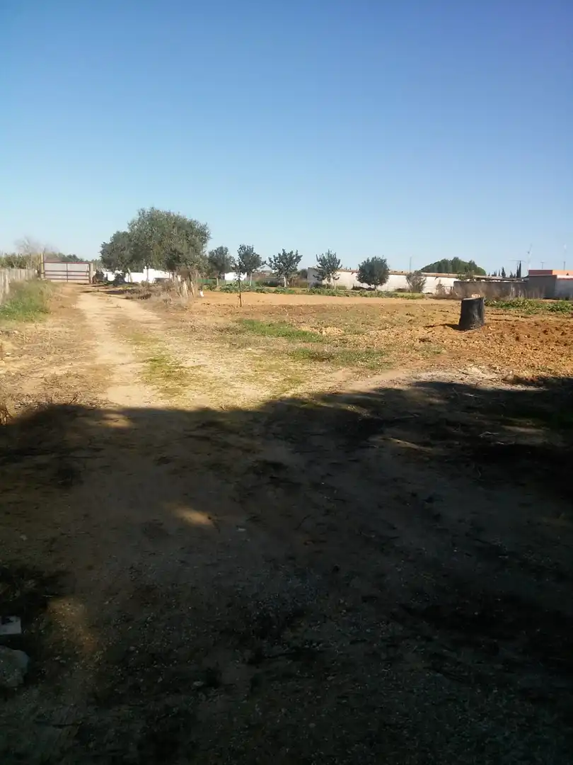 Terreno residencial en venta en Vejer