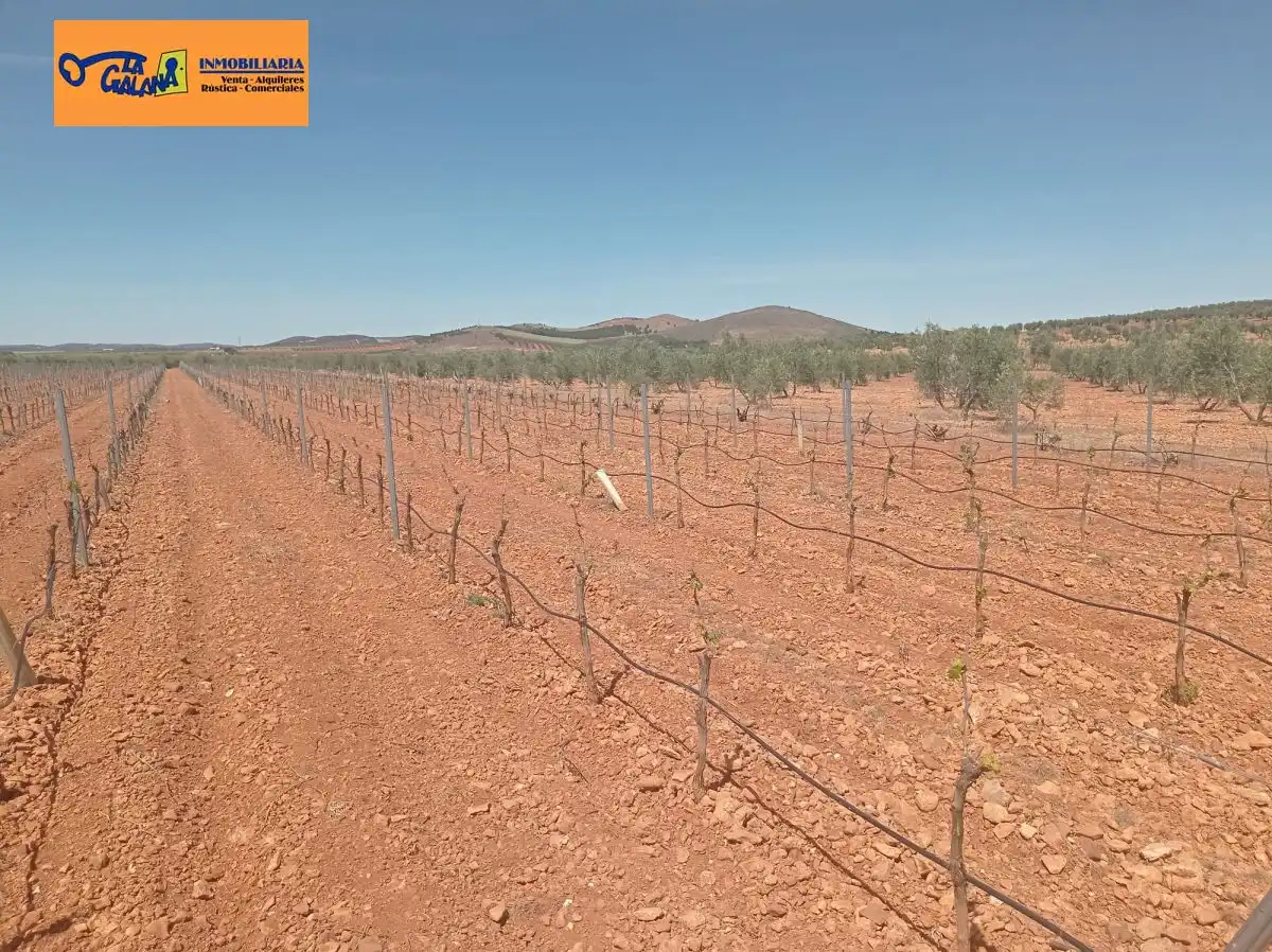 Finca rústica en venda en Torrenueva