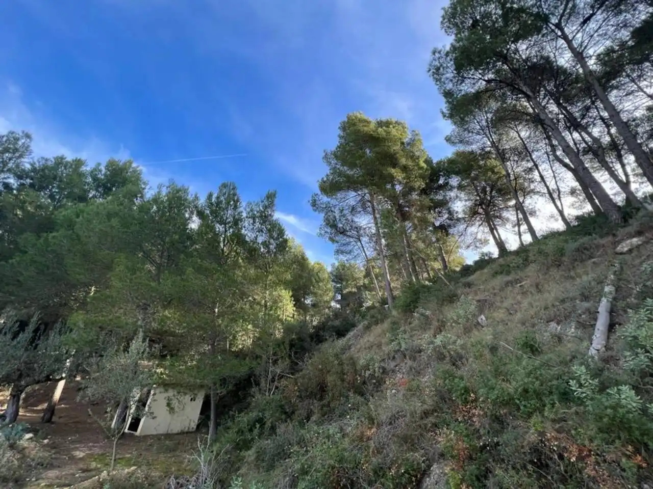 Villa avec jardin à vendre à Penàguila, imagen 84
