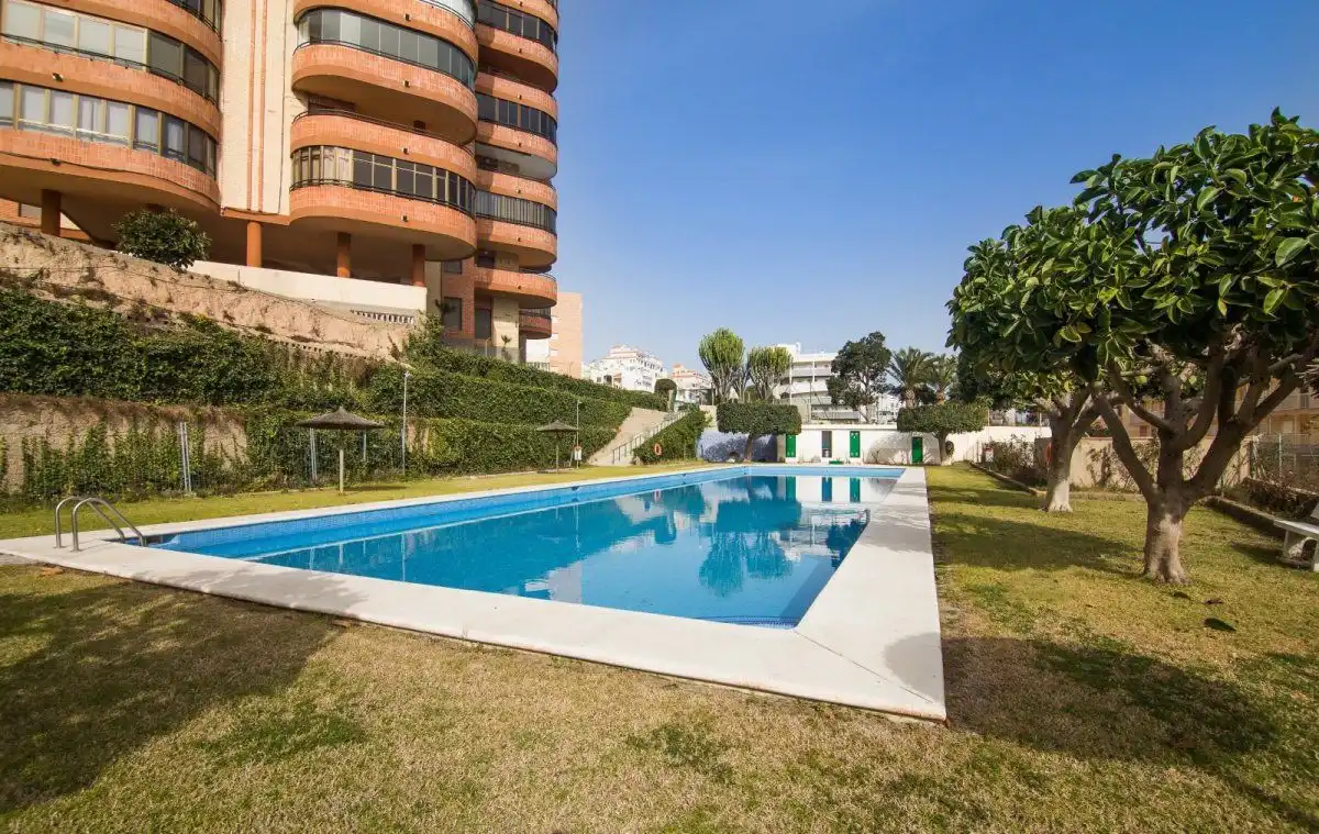 Swimming pool of Flat for rent in Elche / Elx  with Air Conditioner, Heating and Parquet flooring
