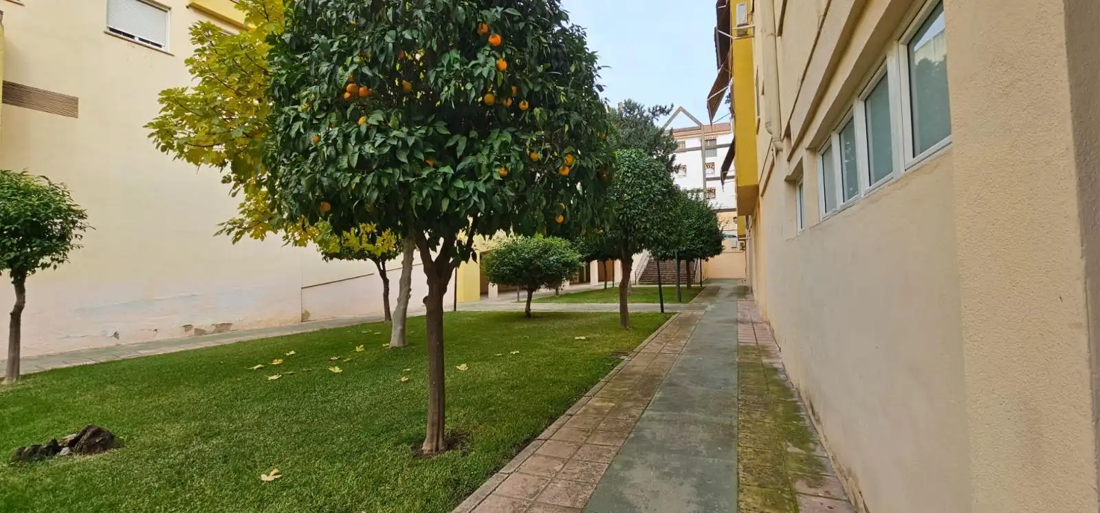 Piso con jardín en venta en Centro, imagen 5