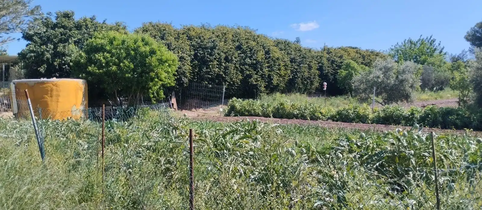 Terreno rustico in vendita a La Huerta, imagen 8