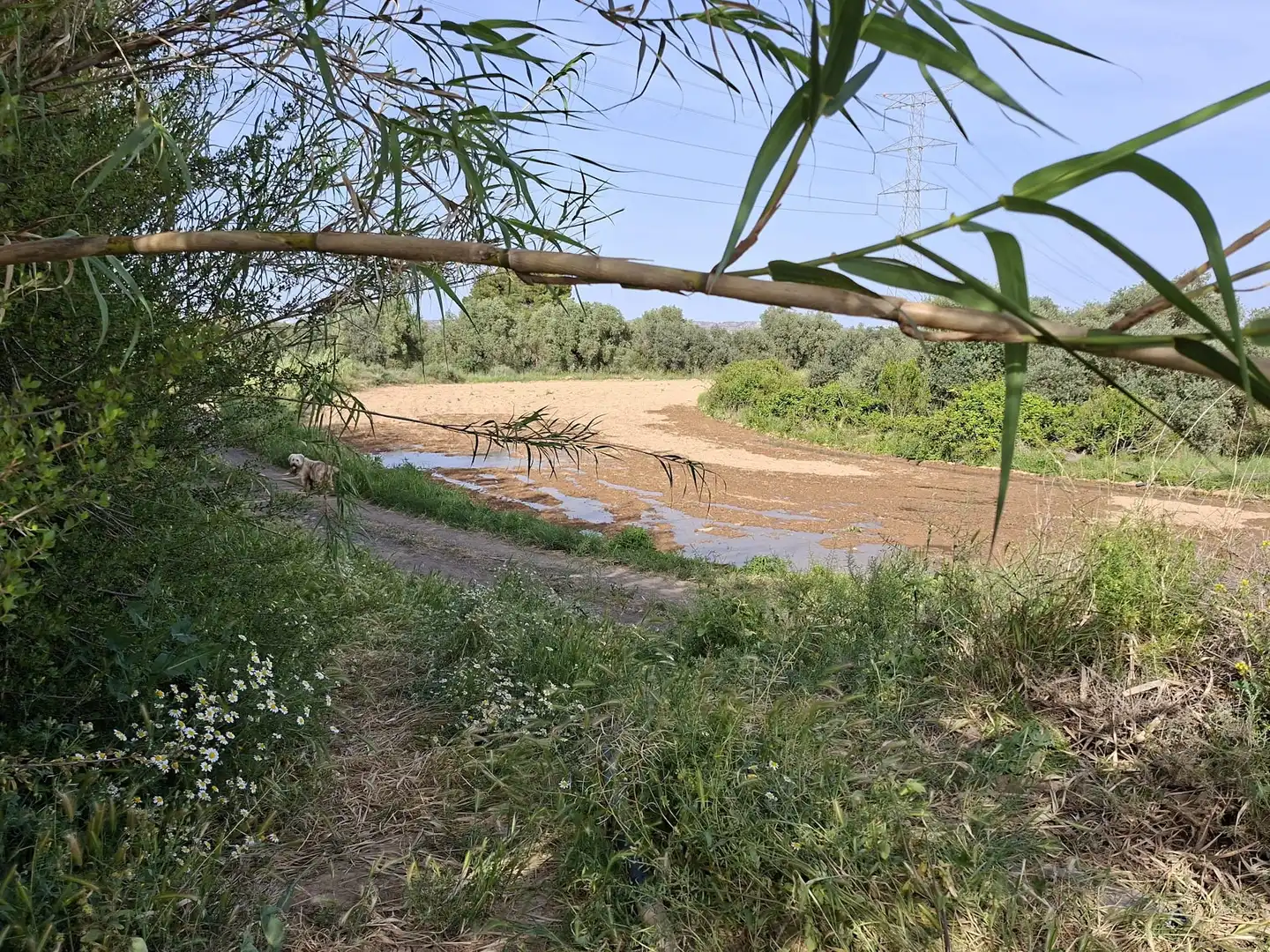 Finca rústica en venda en Caspe