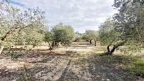 Land for sale in Jerez de la Frontera