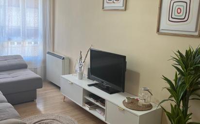 Living room of Flat for sale in Ourense Capital 