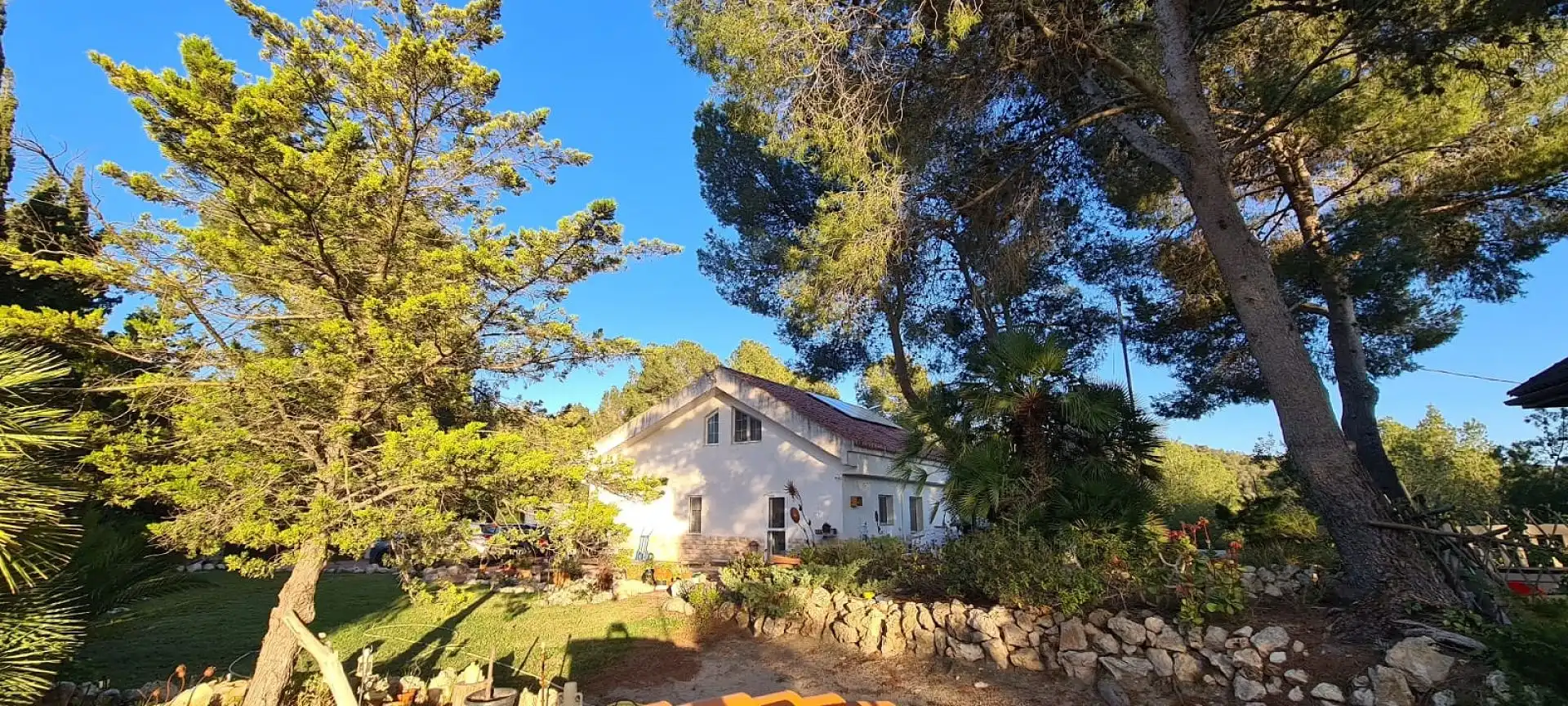 Casa rústica en venda a Sax, imagen 43