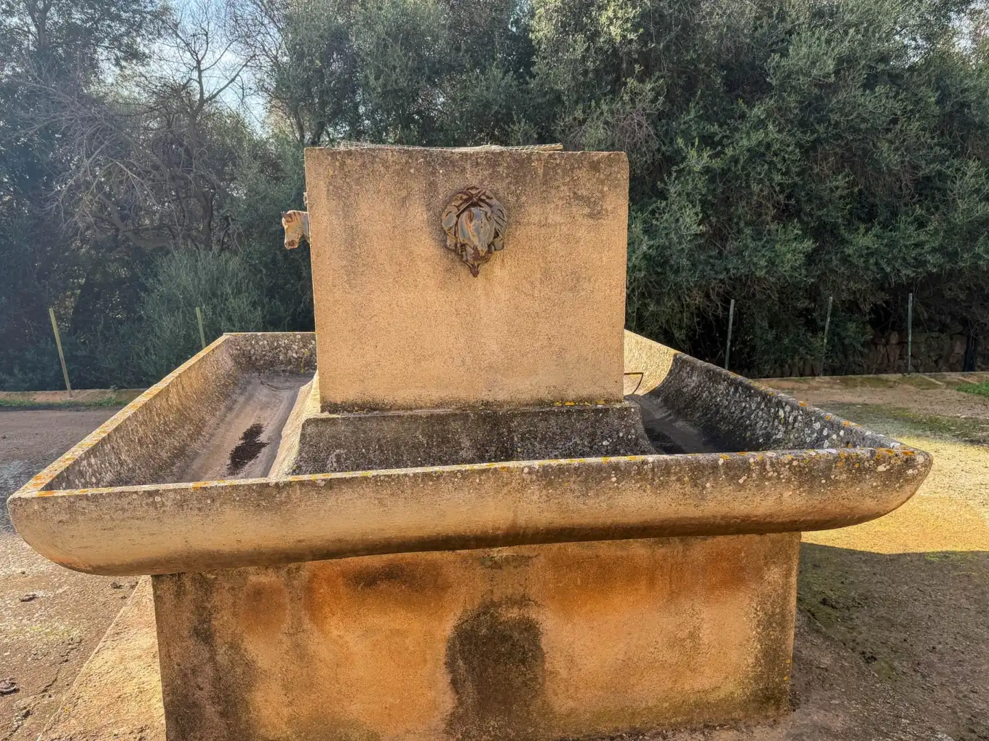 Haus mit Garten zum Verkauf in Manacor - Carrer de Vilanova, imagen 9