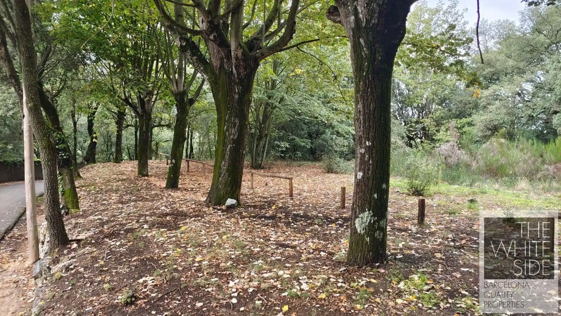 Terrenos y solares en venta en Viladrau, imagen 15