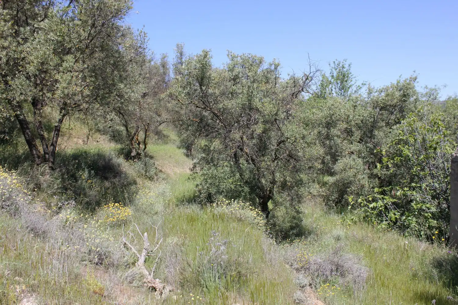 Terreni e lotti in vendita a andalucia, imagen 12