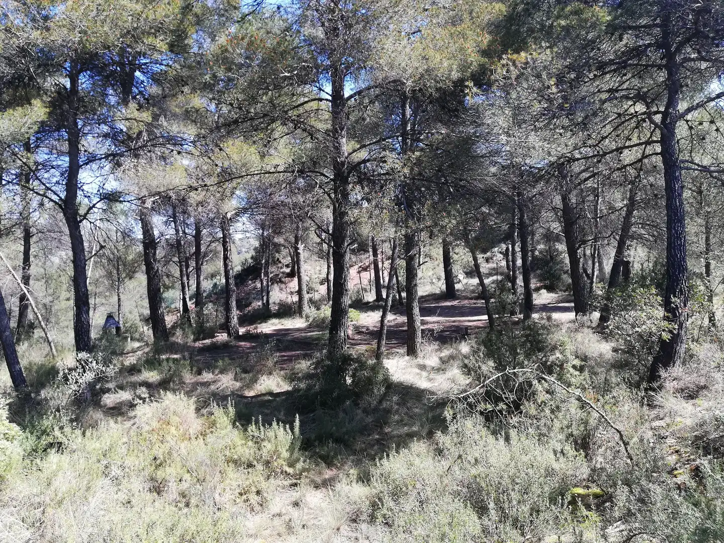Residencial en venta en La Pobla de Claramunt
