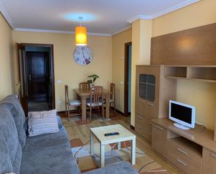 Living room of Flat to rent in Entrambasaguas