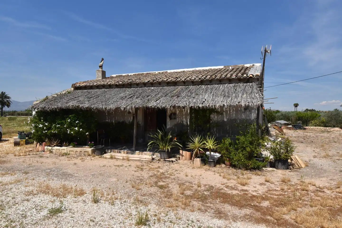 Vista exterior de Casa o xalet en venda en Elche / Elx amb Jardí privat