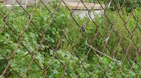 Foto 3 de Terreno en venta en Torre de la Reina, Guillena