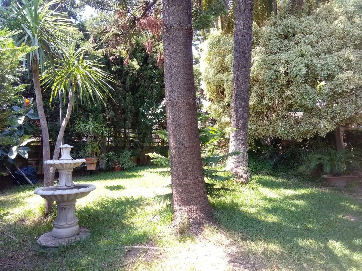 Jardín de Casa o chalet en venta en Torrent con Aire acondicionado, Jardín privado y Terraza