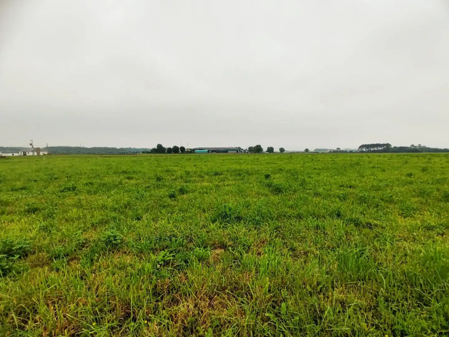 Terreno residencial en venta en Lugar Brul, imagen 12