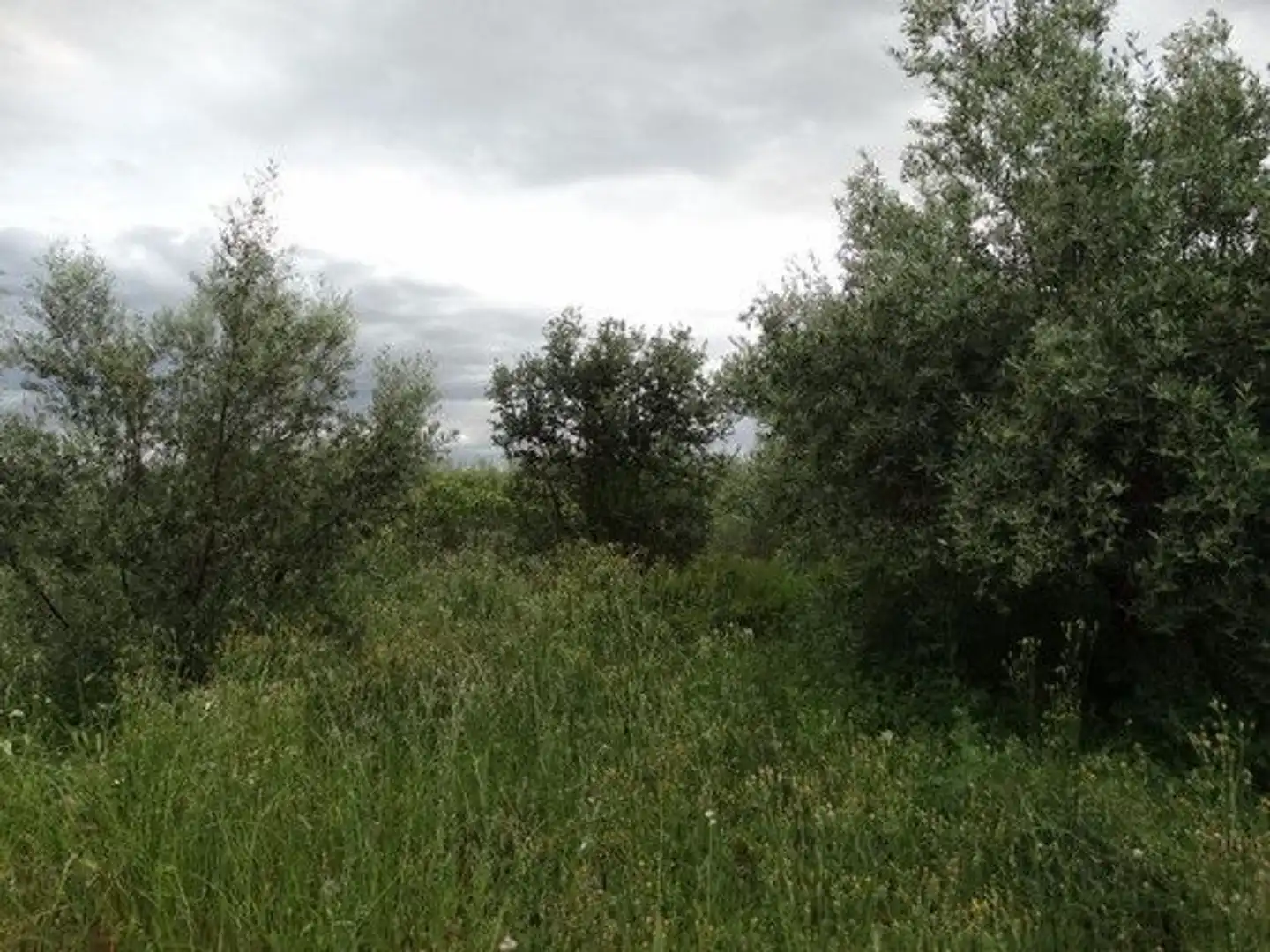 Xalet en venda a Moratalla, imagen 5