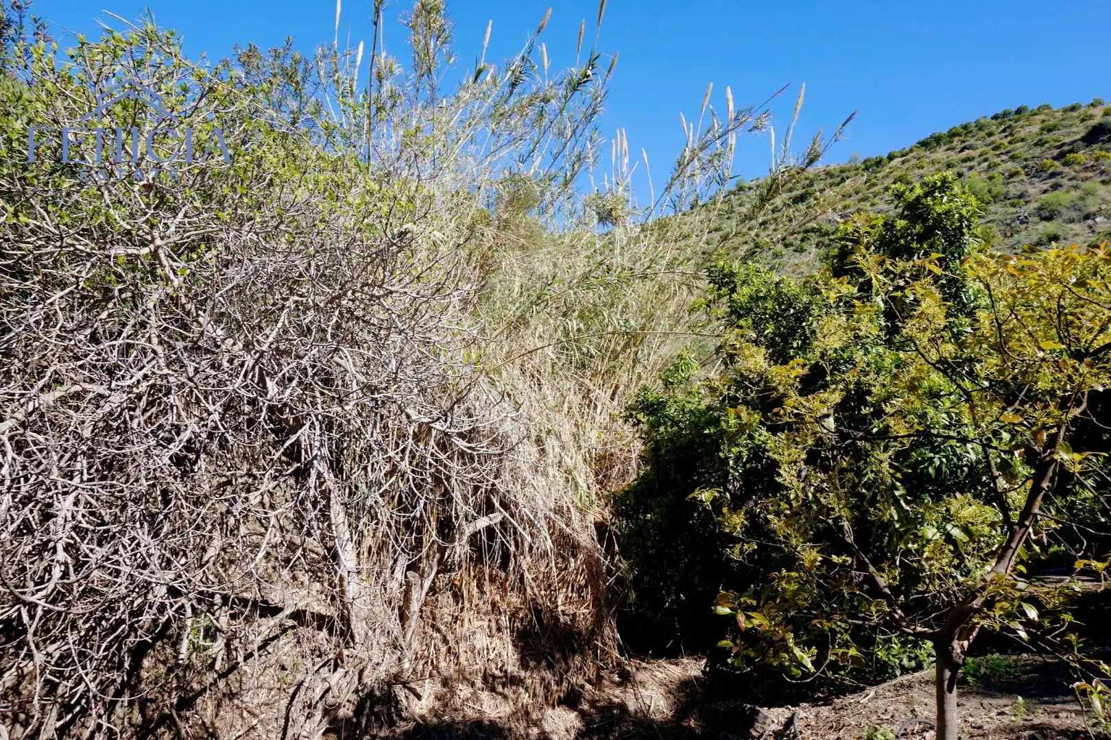 Terreno en venta en Ítrabo
