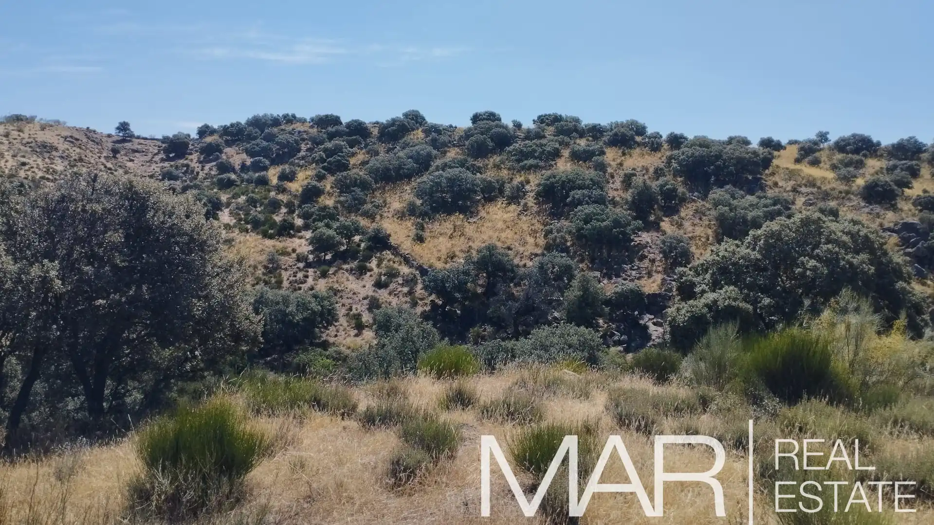 Terreni e lotti in vendita a Villar del Pedroso, imagen 30