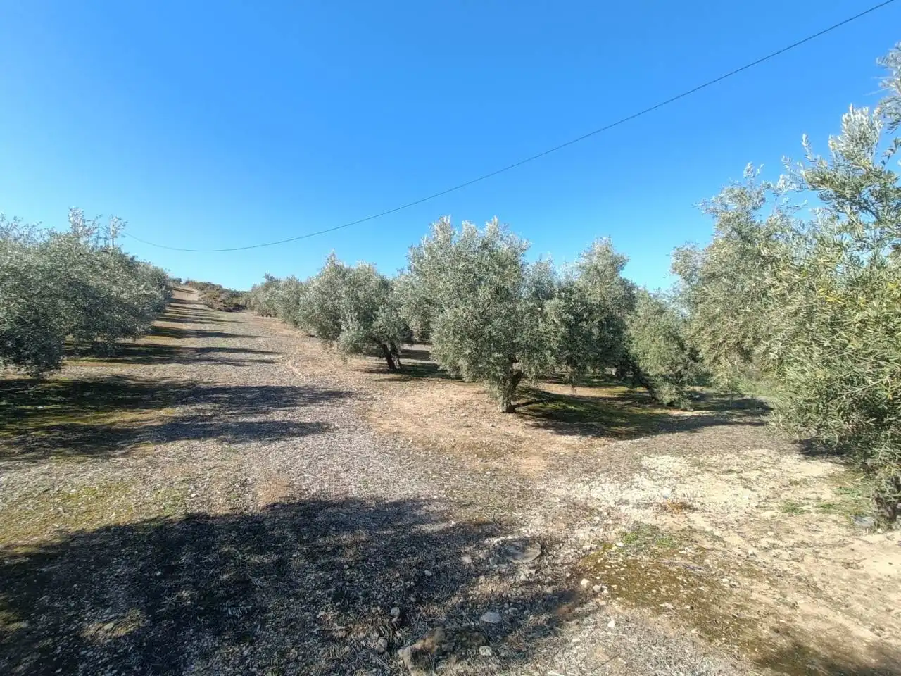 Terreni e lotti in vendita a Moraleda de Zafayona, imagen 24