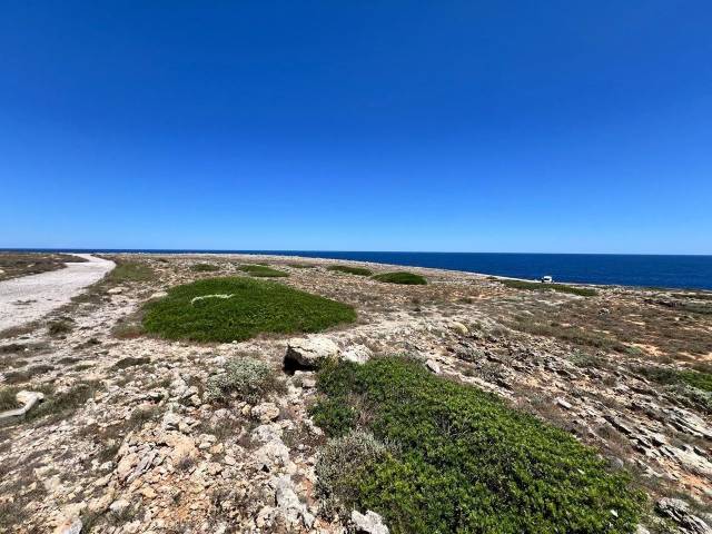 Terreno residencial en Venta en Punta Grossa