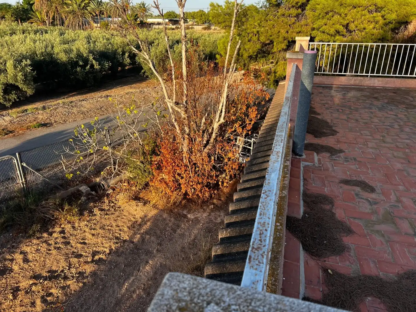 Terrassa de Casa o xalet en venda en Elche / Elx amb Jardí privat, Terrassa i Traster