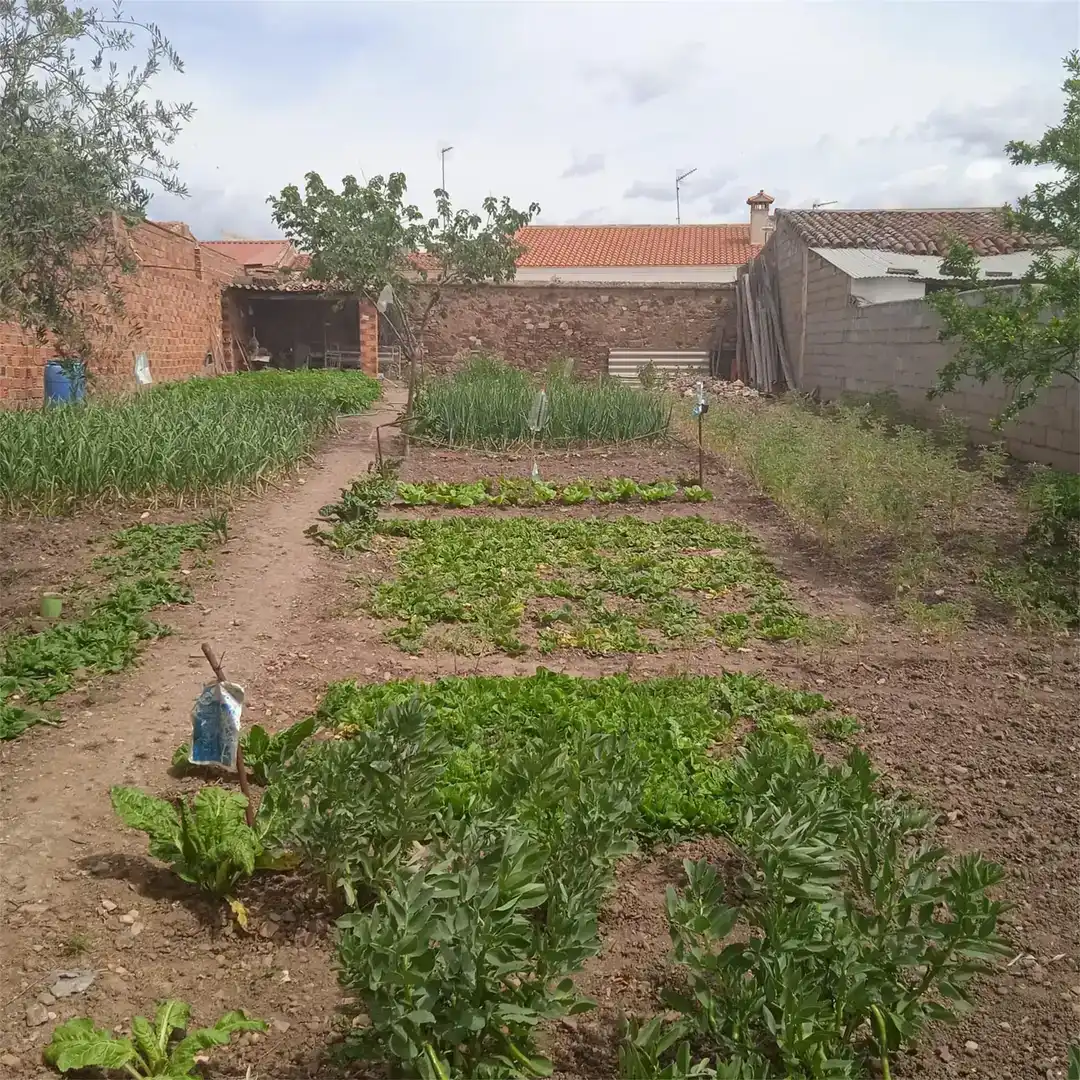 Terreno en venta en Ribera del Fresno, Badajoz