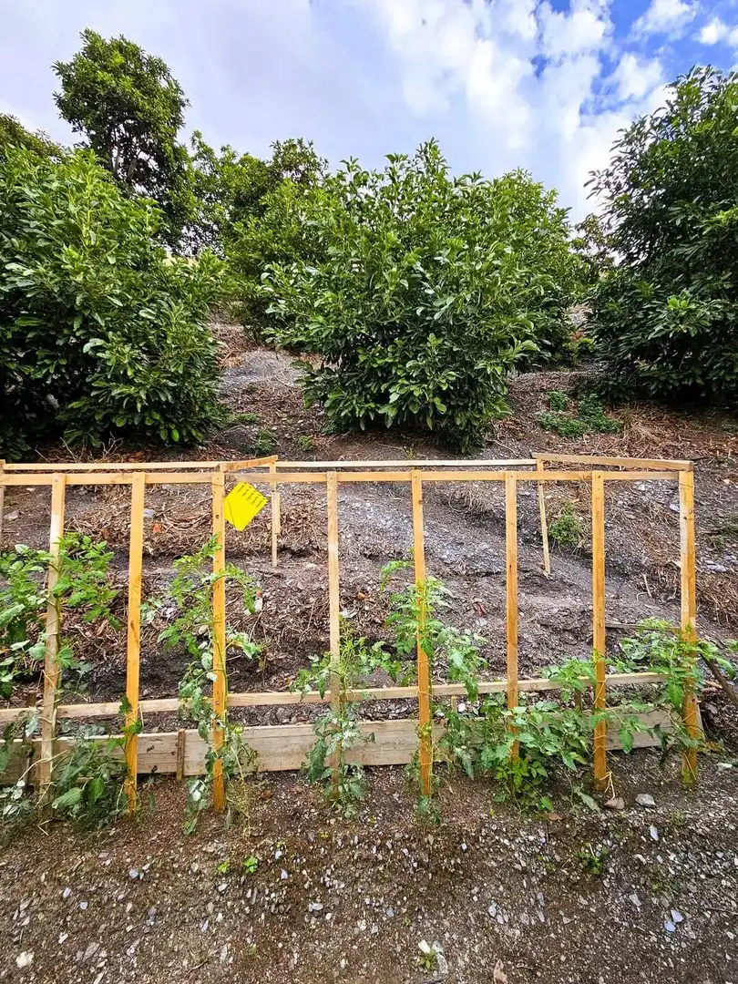 Rustikales Grundstück zum Verkauf in Los Tablones - La Garnatilla, imagen 52