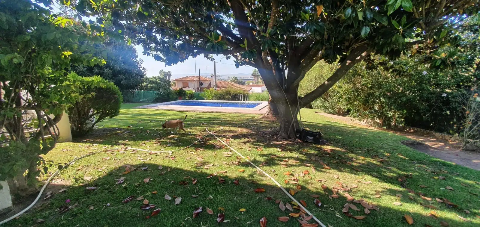 Piscina de Casa o chalet en venta en Algeciras con Aire acondicionado, Jardín privado y Terraza
