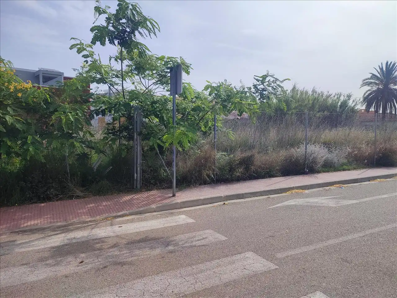 Terreny residencial en venda a Carrer Mestre José Vives 1, imagen 5