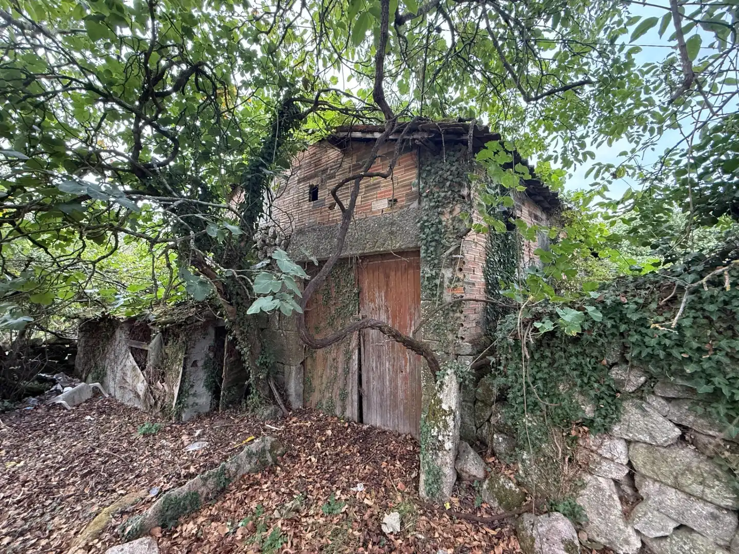 Außenansicht von Haus oder Chalet zum Verkauf in Sandiás, Ourense