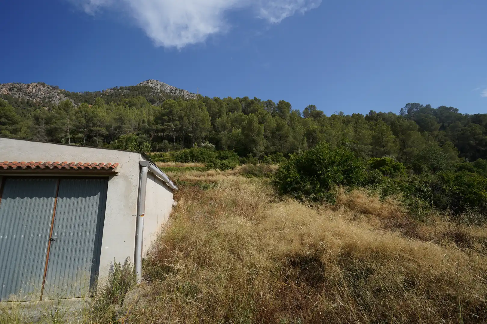 Terrain rustique à vendre à Benifallet, imagen 7