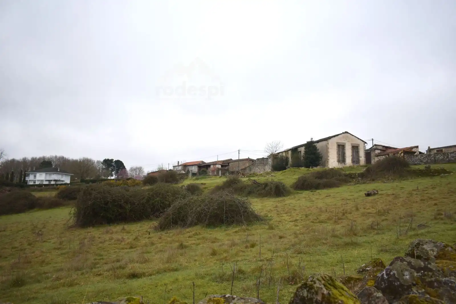 Buildings for sale in Pantón