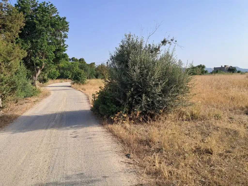 Terreny rústic en venda a Sant Antoni de Portmany, imagen 7