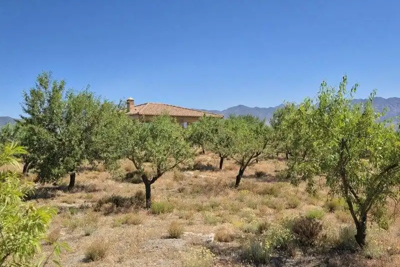 Terreny rústic en venda a Villamena, imagen 10
