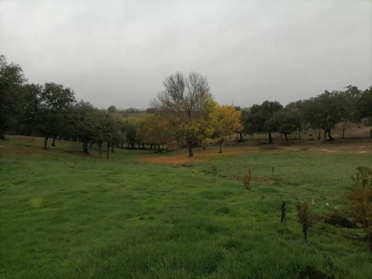 Terreno en venta en Poligono 1, La Alameda de Gardón