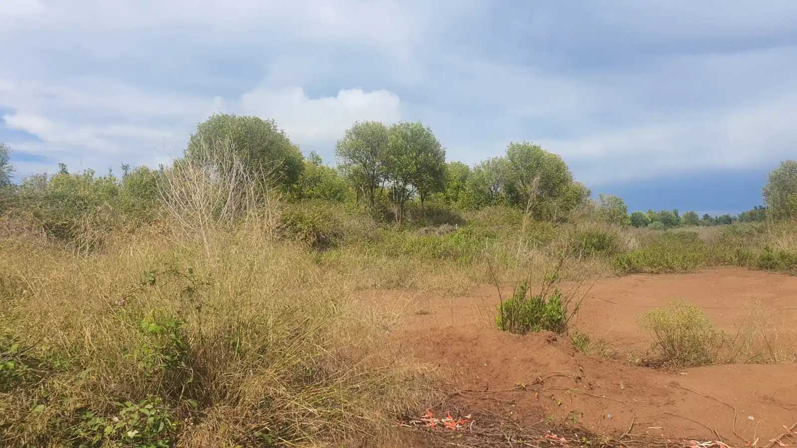 Terreno residencial en venta en Centro, imagen 15