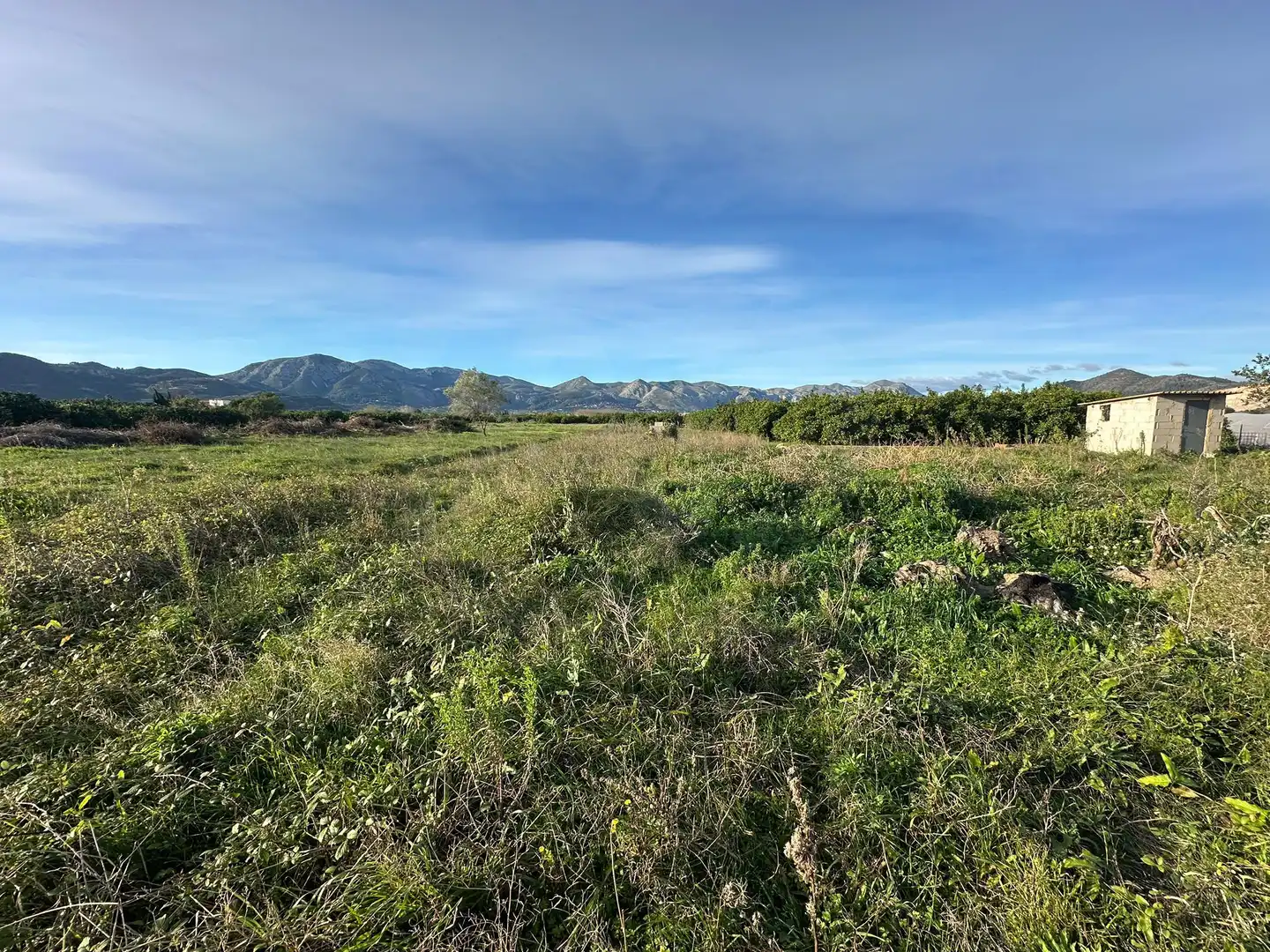 Lands and plots for sale in Pego, imagen 9